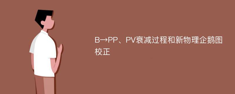 B→PP、PV衰减过程和新物理企鹅图校正